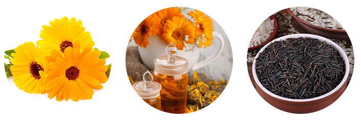 MISSHA-Meditanical-Calendula-Toner_1